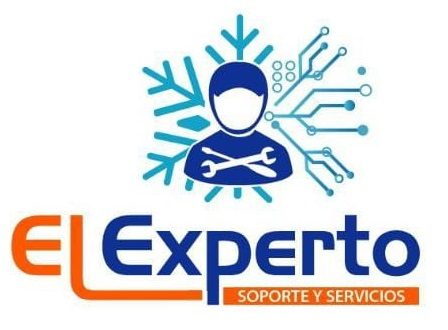 El experto